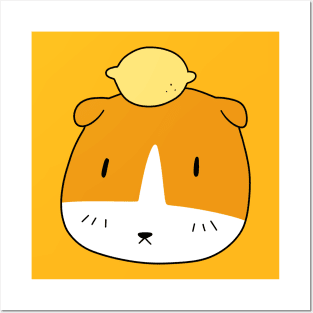 Lemon Guinea Pig Face Posters and Art